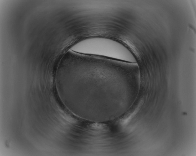 X0000091360261200708241317