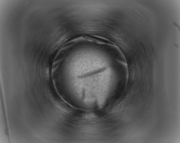 X0000091360262200708241317