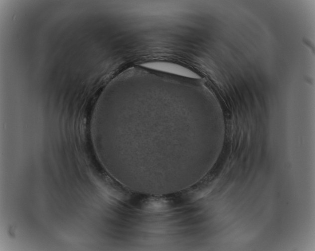 X0000091360263200708241317