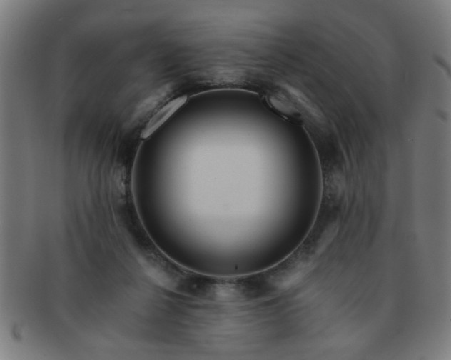 X0000091360264200708241317