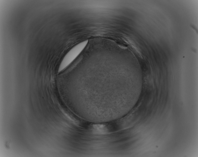 X0000091360265200708241317