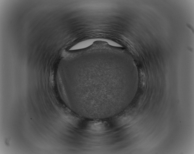 X0000091360267200708241317