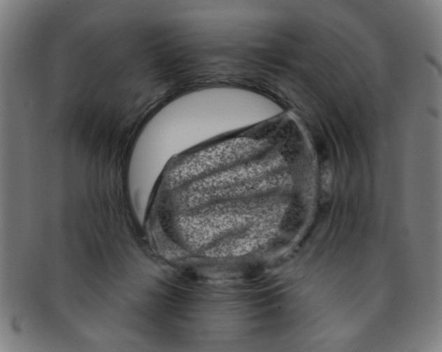 X0000091360268200708241317