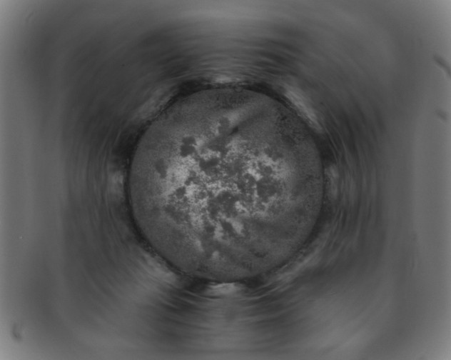 X0000091360269200708241317
