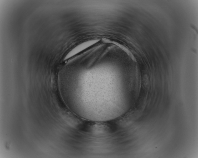 X0000091360270200708241317