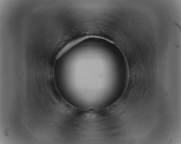 X0000091360272200708241317