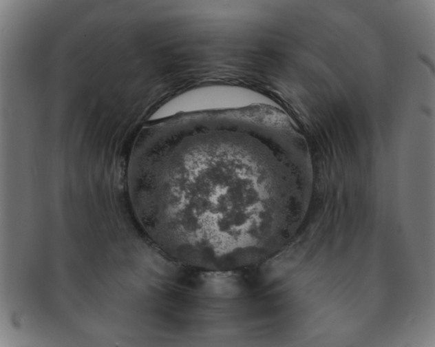 X0000091360273200708241317
