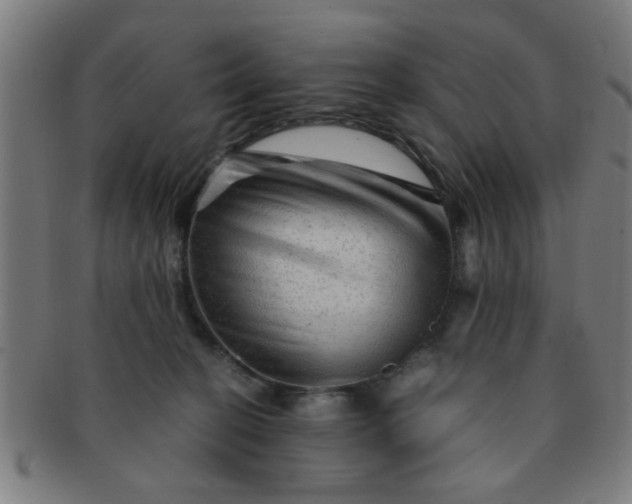 X0000091360274200708241317