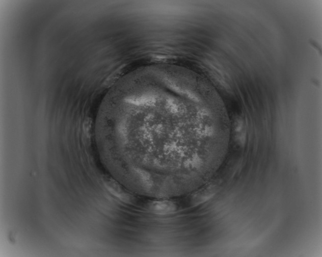 X0000091360275200708241317