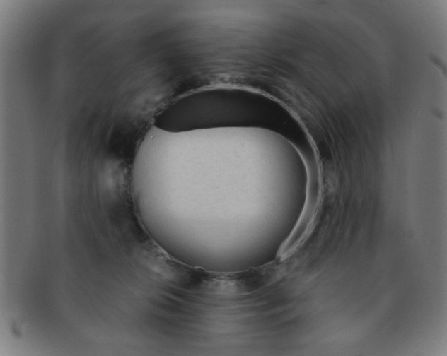 X0000091360276200708241317