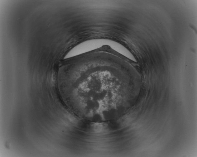 X0000091360277200708241317