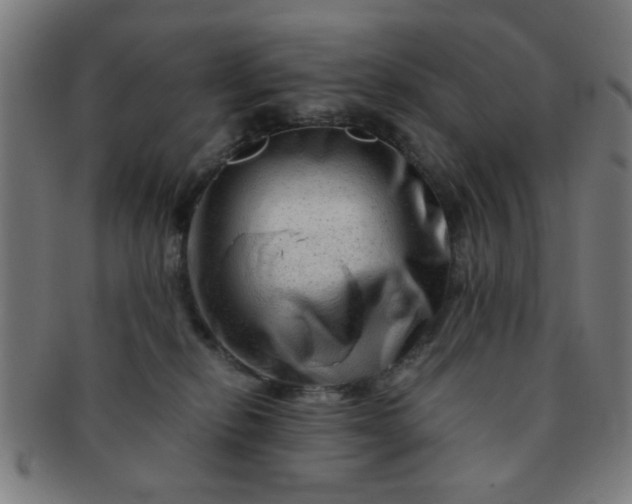 X0000091360278200708241317