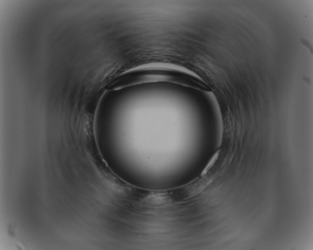 X0000091360280200708241317