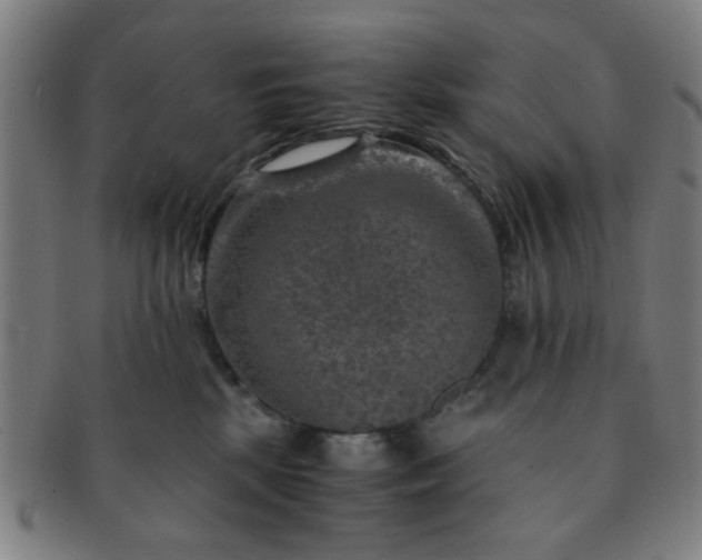 X0000091360281200708241317