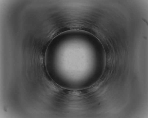 X0000091360282200708241317