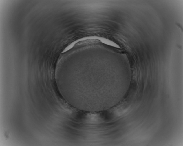 X0000091360283200708241317