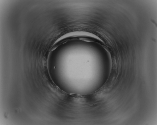 X0000091360284200708241317