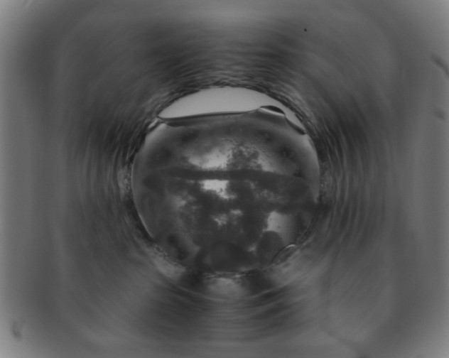 X0000091360285200708241317