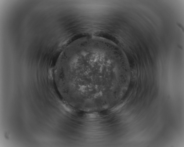 X0000091360286200708241317
