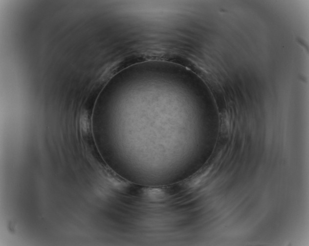 X0000091360287200708241317
