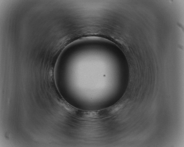 X0000091360288200708241317
