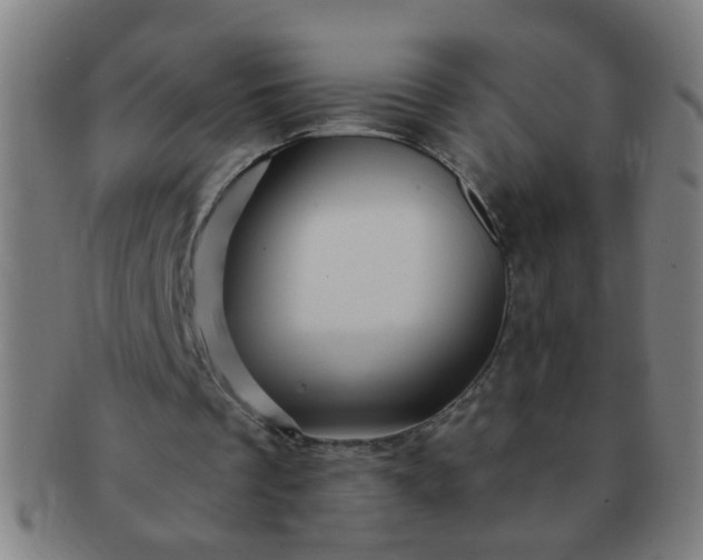 X0000091360289200708241316