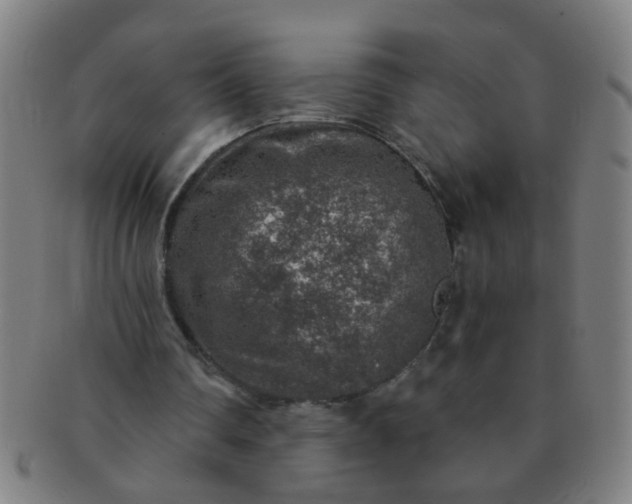X0000091360290200708241316