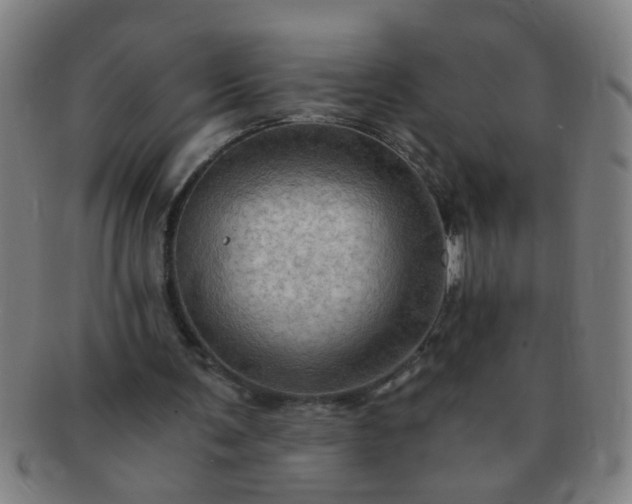 X0000091360291200708241316