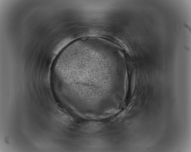 X0000091360292200708241316
