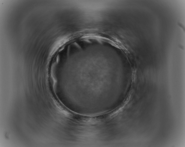 X0000091360293200708241316