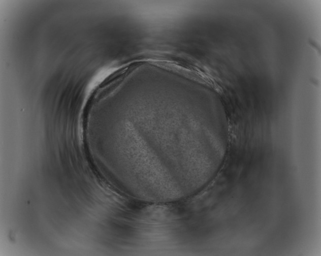 X0000091360294200708241316