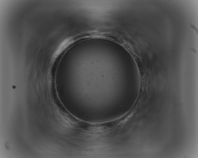 X0000091360295200708241316