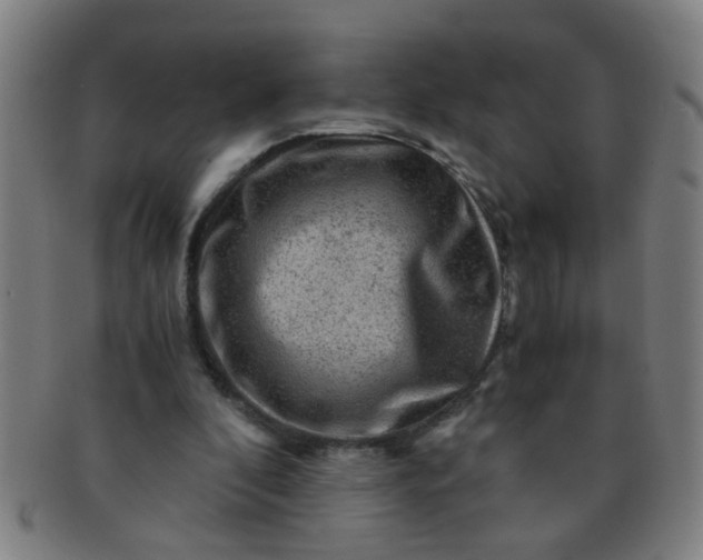 X0000091360296200708241316
