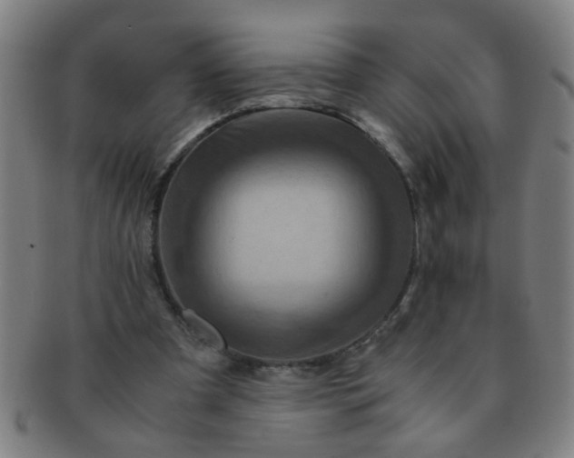 X0000091360297200708241316