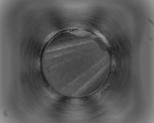 X0000091360298200708241316