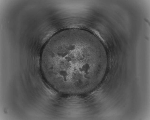 X0000091360299200708241316