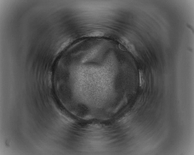 X0000091360300200708241316