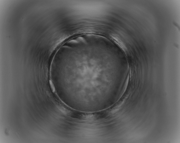 X0000091360301200708241316