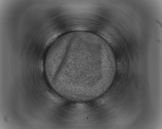 X0000091360302200708241316