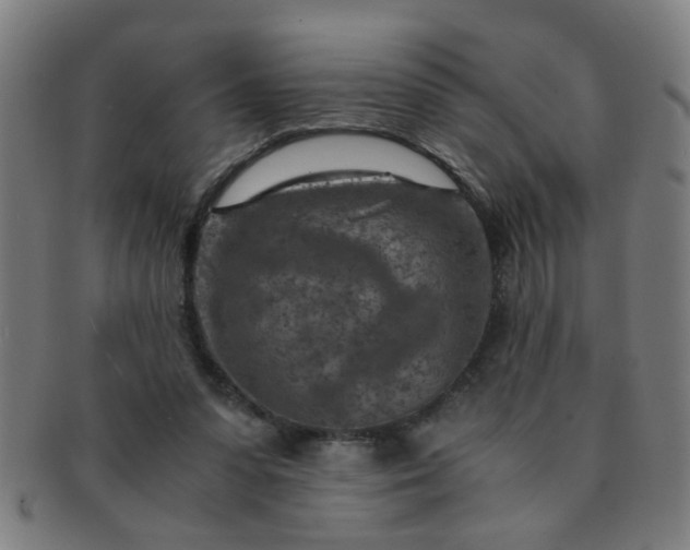 X0000091360303200708241316