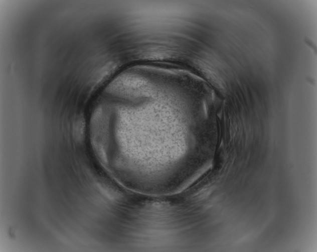 X0000091360304200708241316