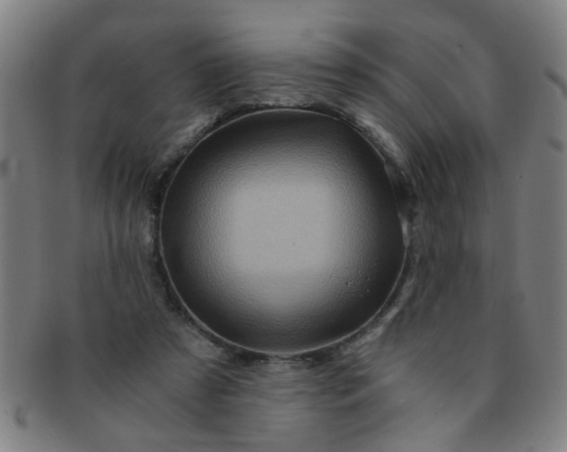 X0000091360305200708241316