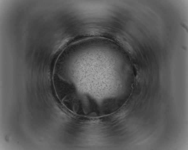 X0000091360306200708241316
