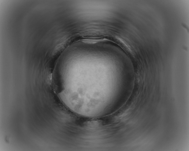 X0000091360307200708241316