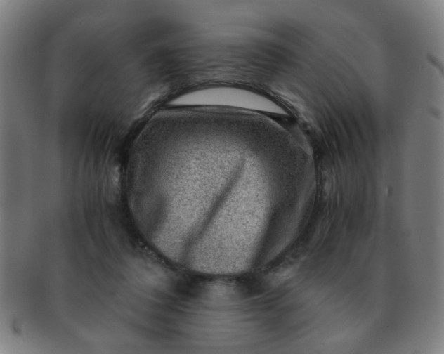 X0000091360308200708241316