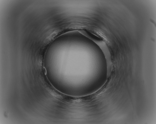 X0000091360309200708241316
