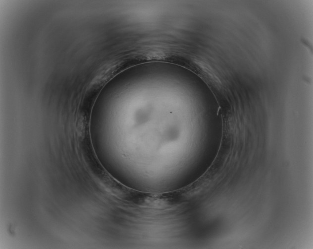 X0000091360311200708241316