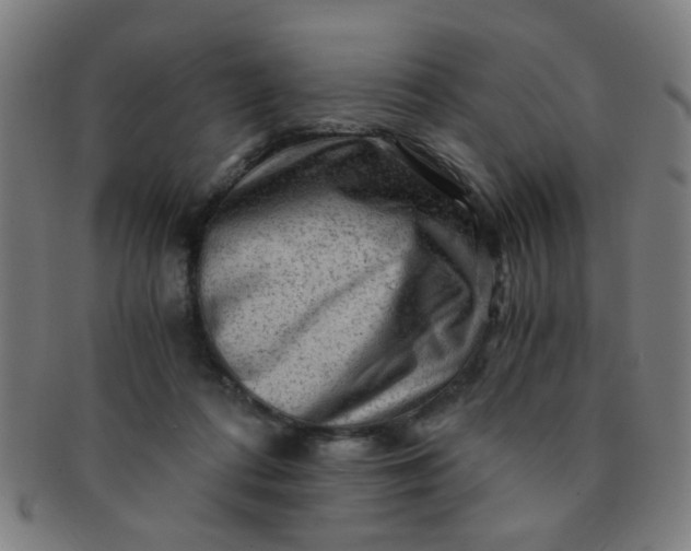 X0000091360312200708241316