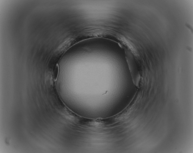X0000091360313200708241316