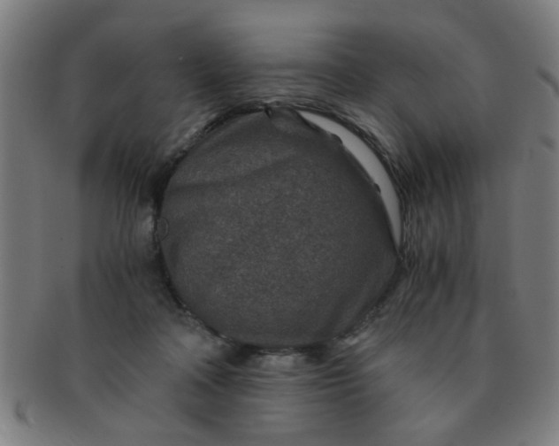 X0000091360314200708241316